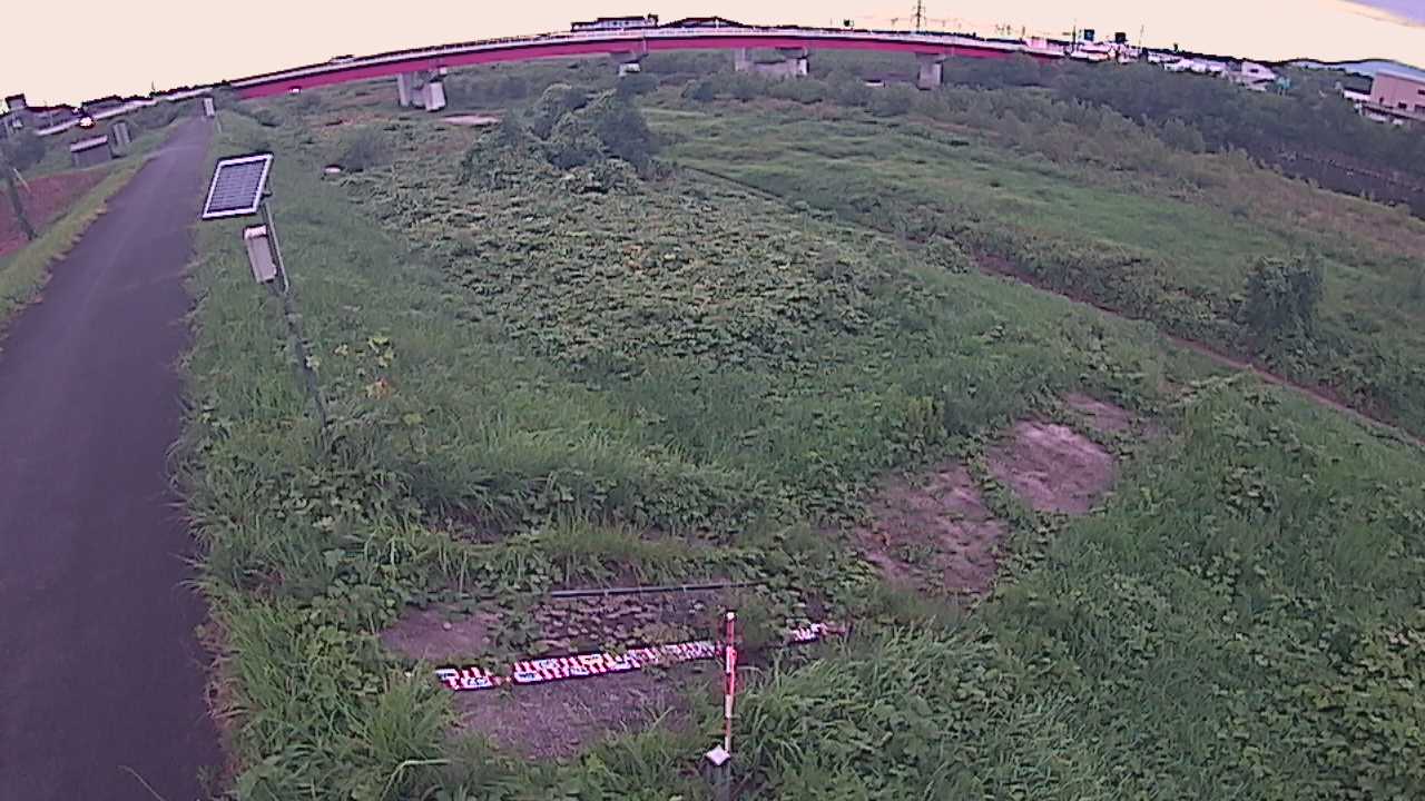 大寺　日野川 9k800 左岸