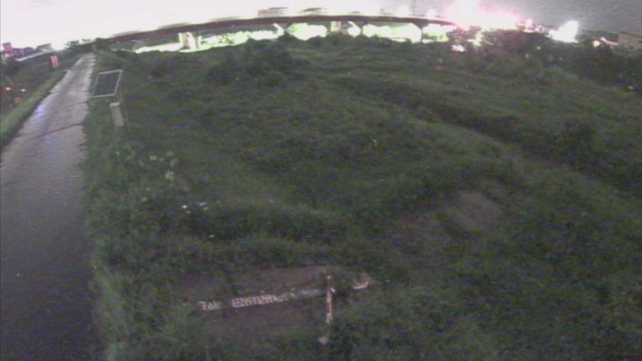 大寺　日野川 9k800 左岸
