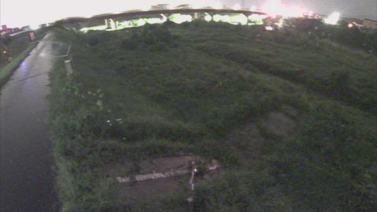 大寺　日野川 9k800 左岸