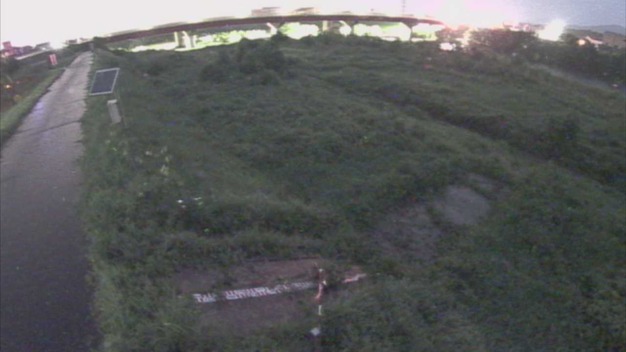大寺　日野川 9k800 左岸