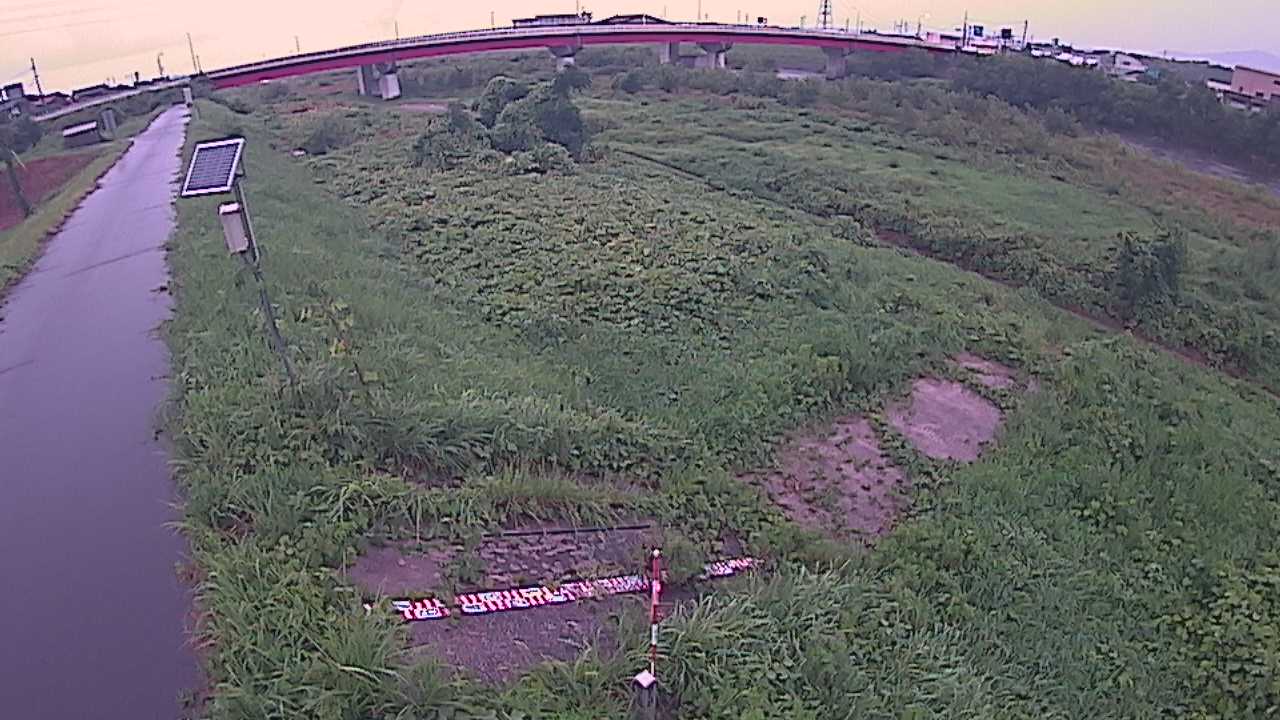 大寺　日野川 9k800 左岸