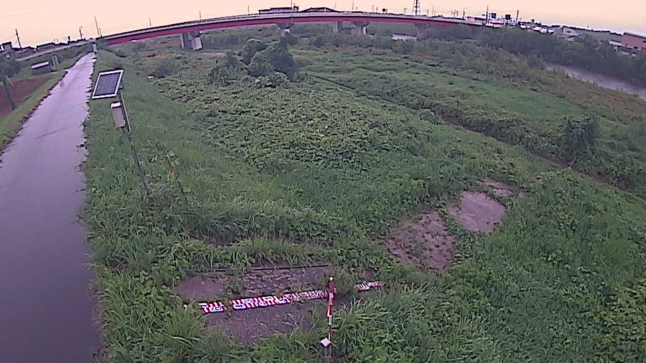大寺　日野川 9k800 左岸
