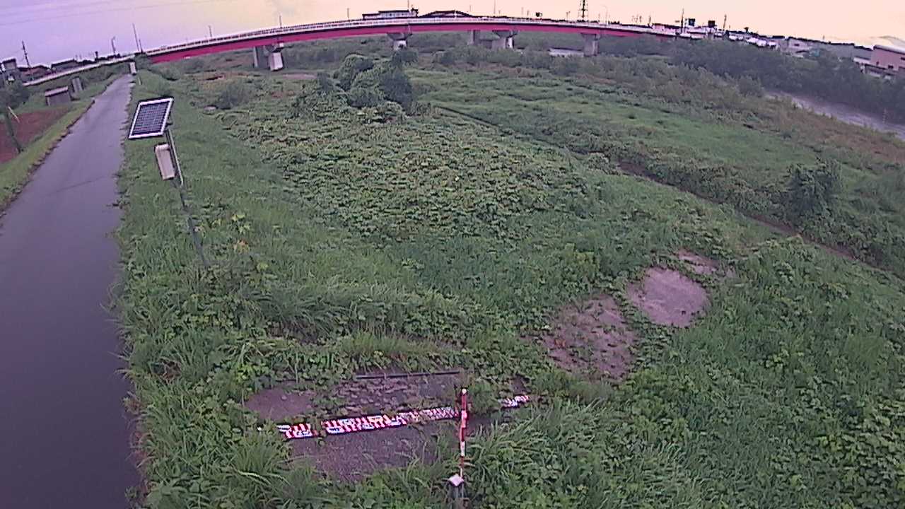 大寺　日野川 9k800 左岸