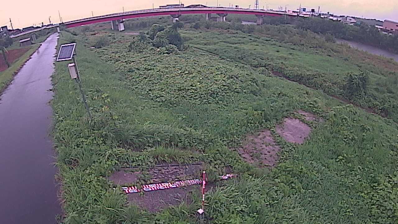 大寺　日野川 9k800 左岸