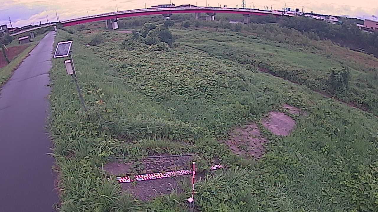 大寺　日野川 9k800 左岸