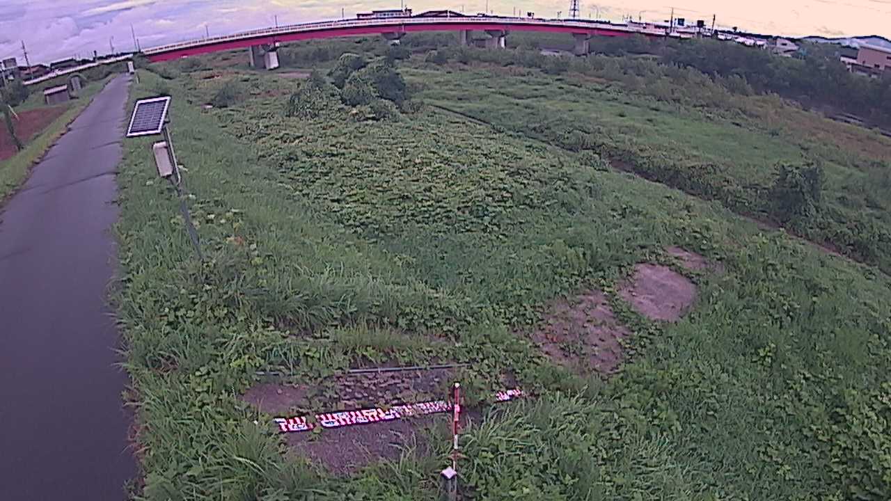 大寺　日野川 9k800 左岸