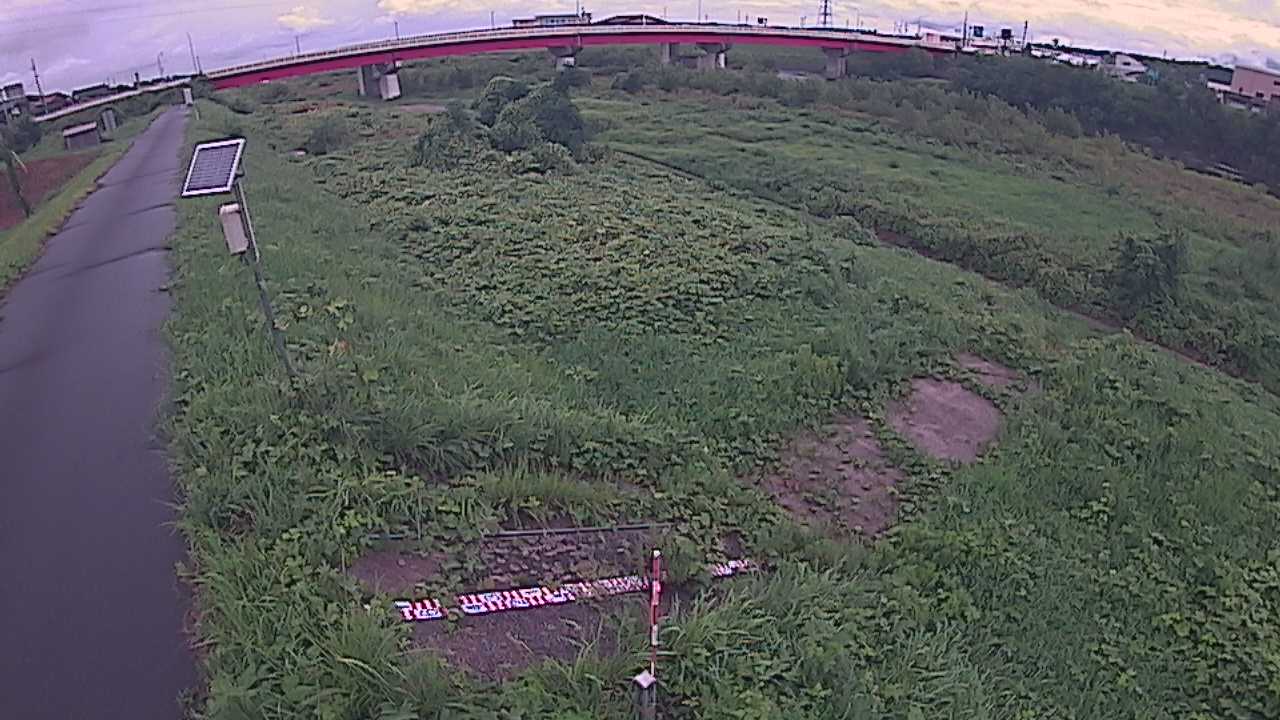 大寺　日野川 9k800 左岸