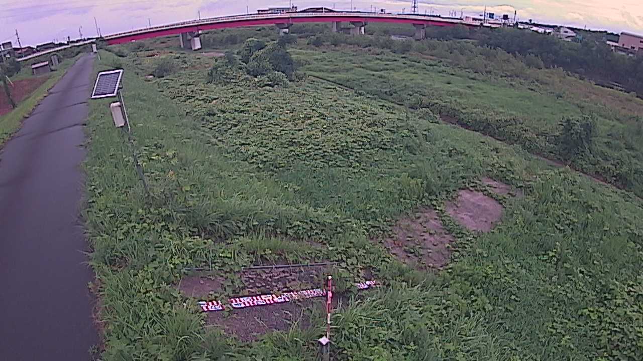 大寺　日野川 9k800 左岸