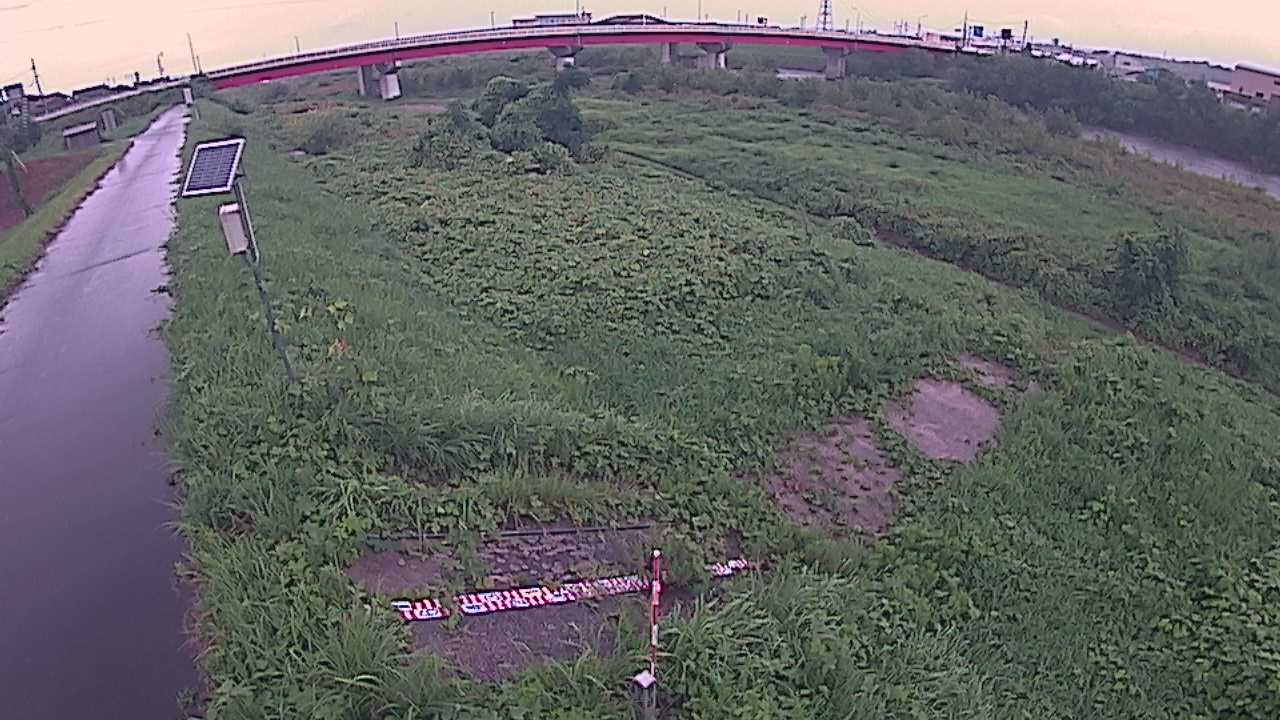 大寺　日野川 9k800 左岸