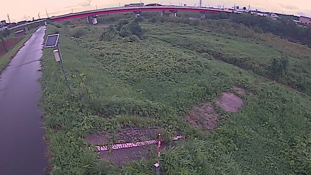 大寺　日野川 9k800 左岸