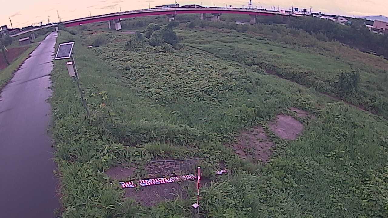 大寺　日野川 9k800 左岸