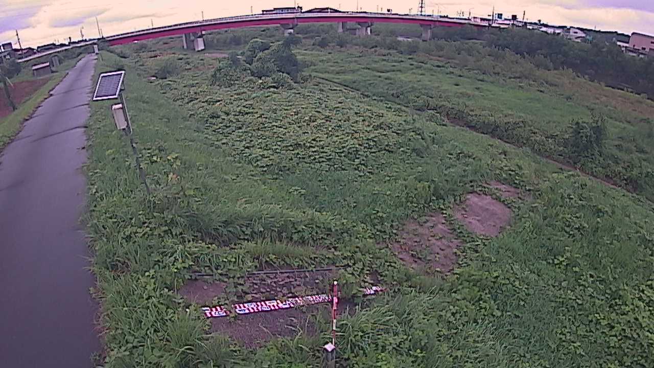 大寺　日野川 9k800 左岸