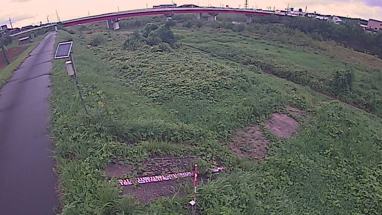 大寺　日野川 9k800 左岸