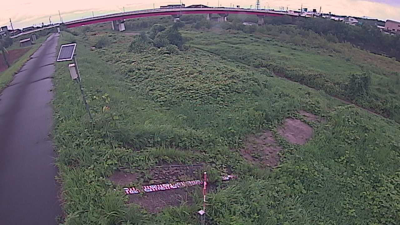大寺　日野川 9k800 左岸