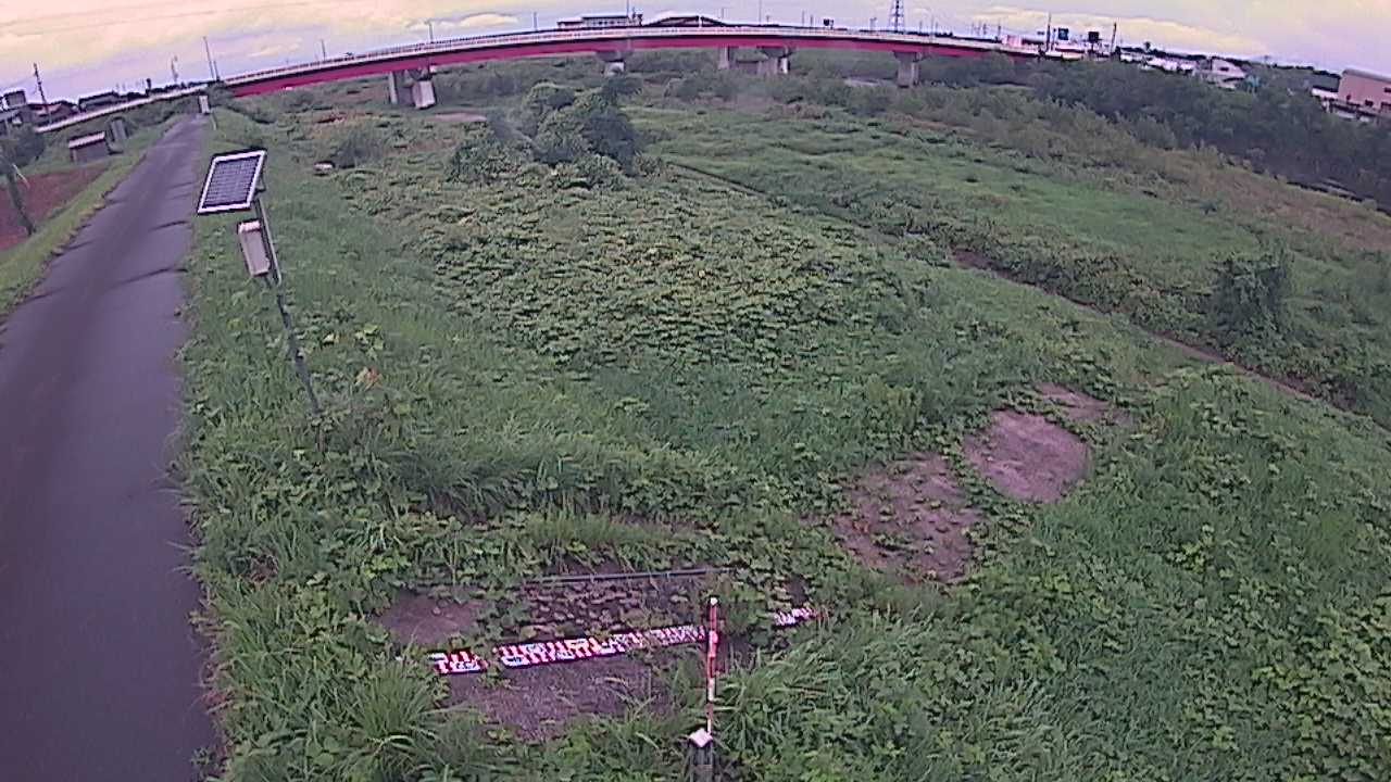 大寺　日野川 9k800 左岸