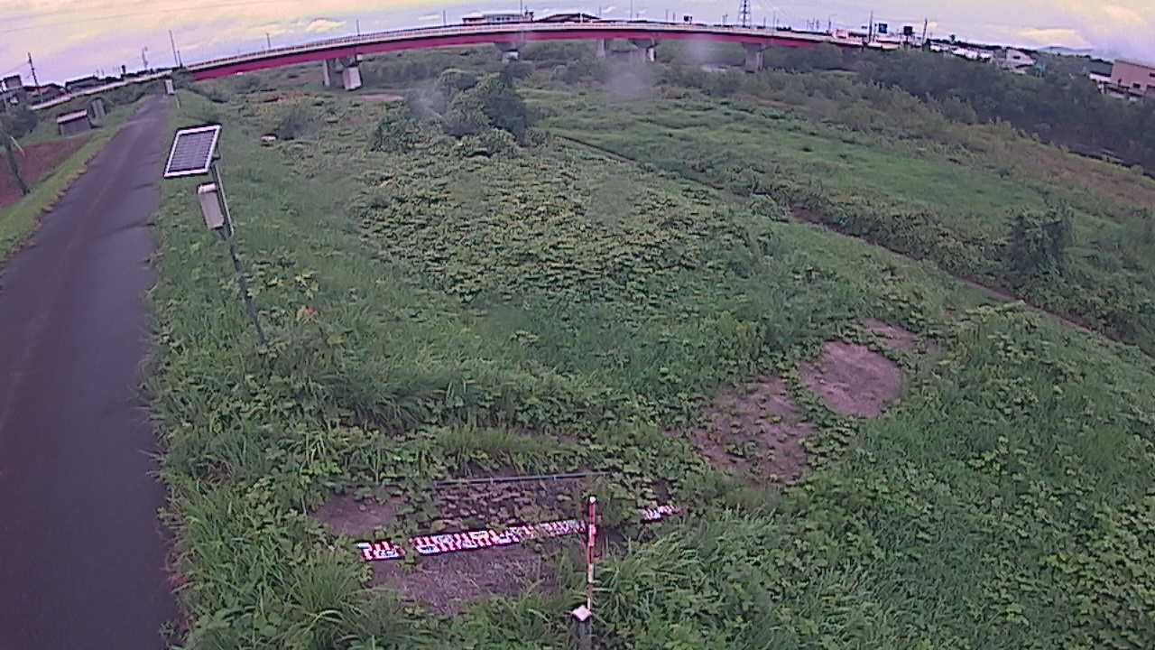 大寺　日野川 9k800 左岸