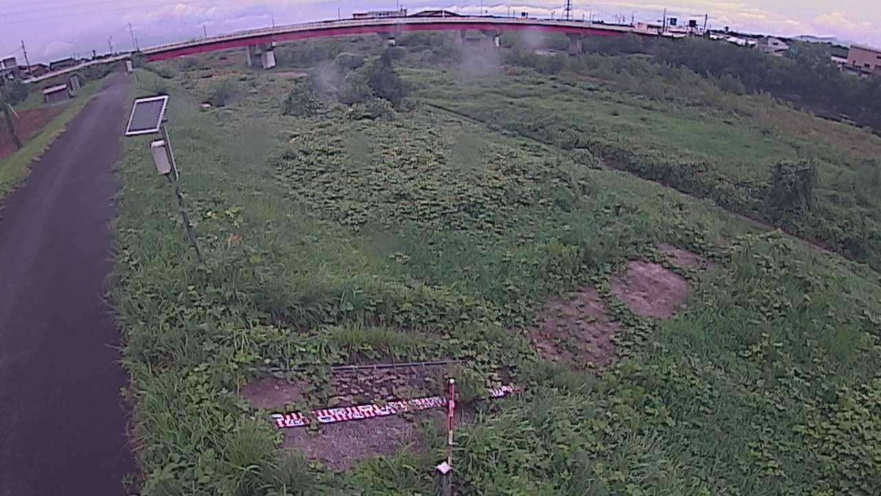 大寺　日野川 9k800 左岸
