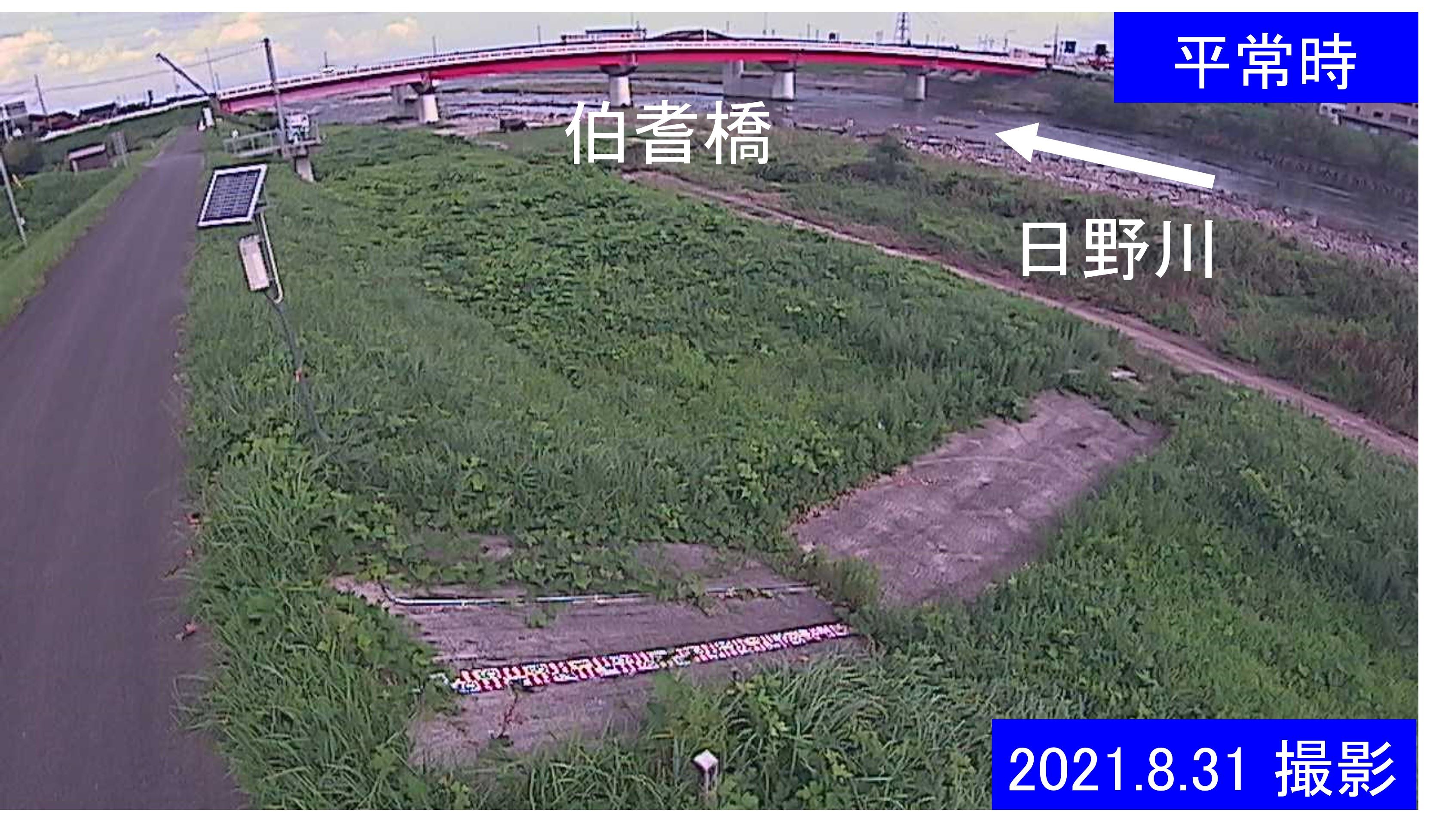 大寺　日野川 9k800 左岸(通常の水位)