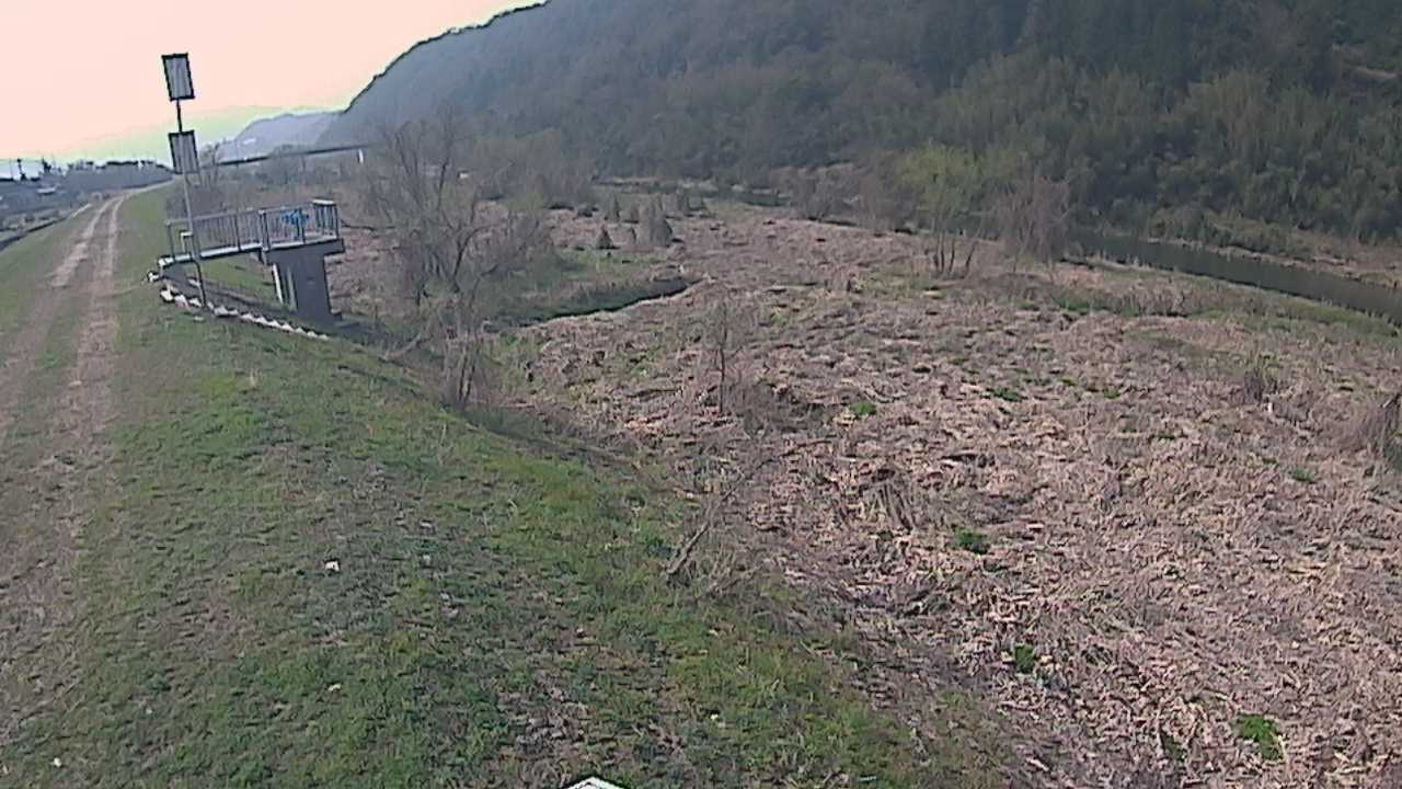 大江　日野川 13k790 右岸