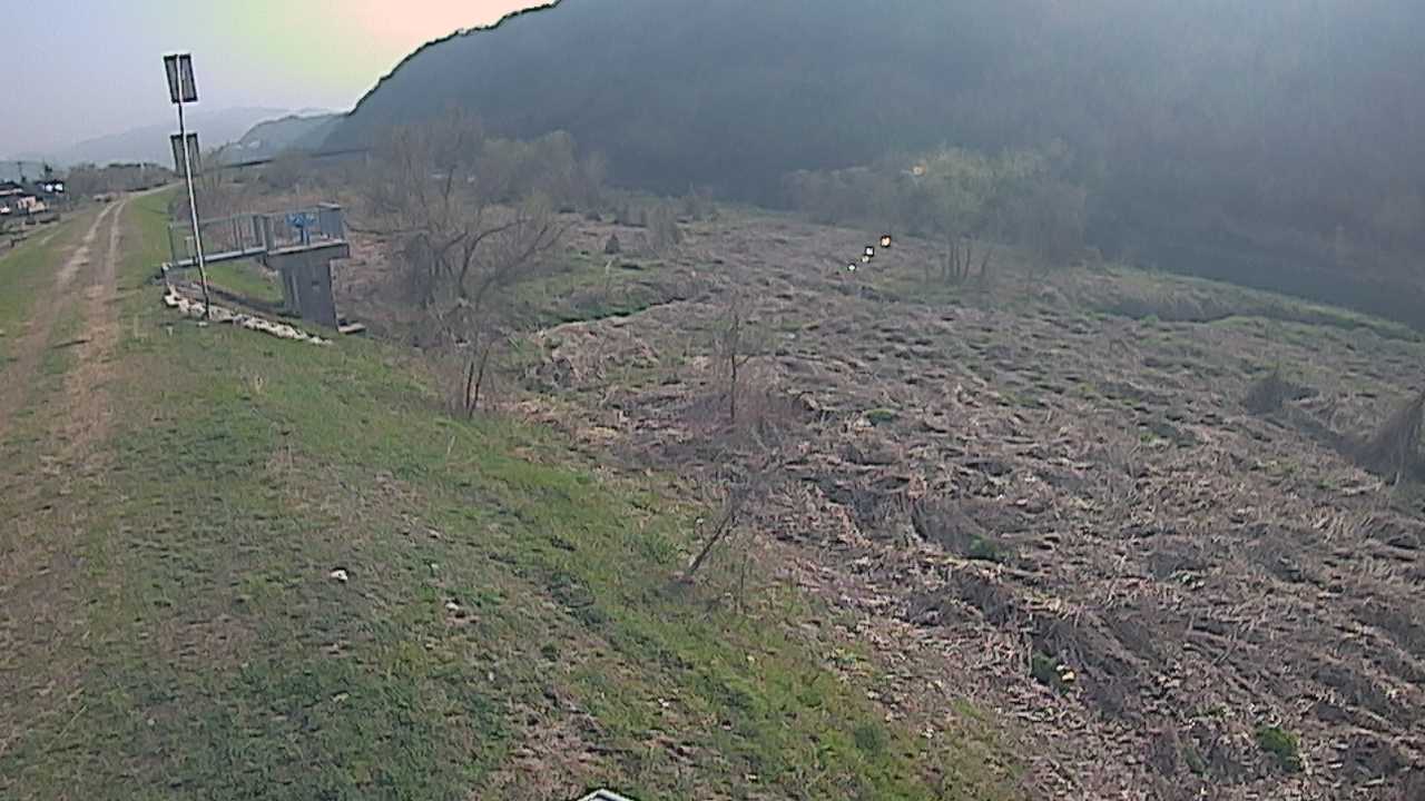 大江　日野川 13k790 右岸