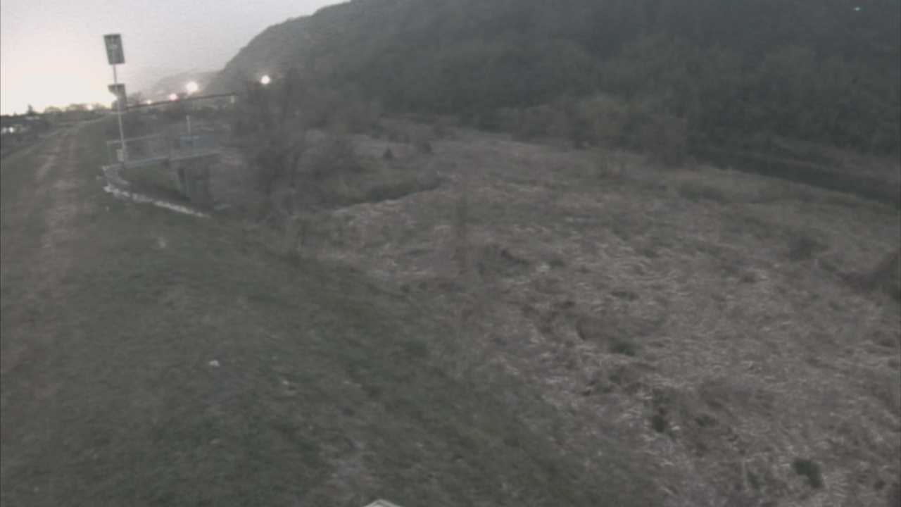 大江　日野川 13k790 右岸