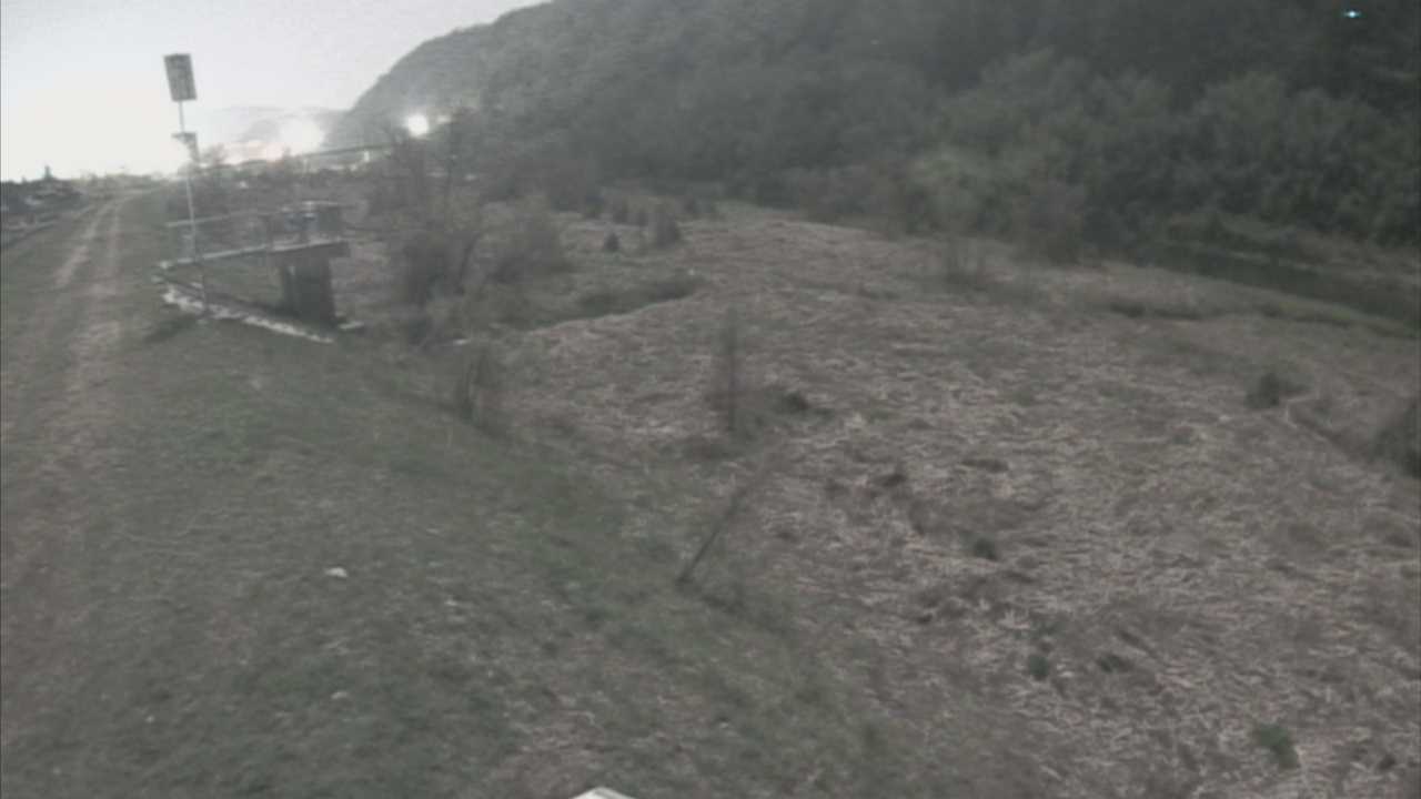 大江　日野川 13k790 右岸