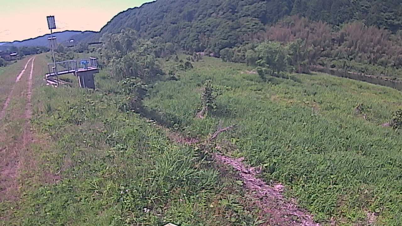 大江　日野川 13k790 右岸