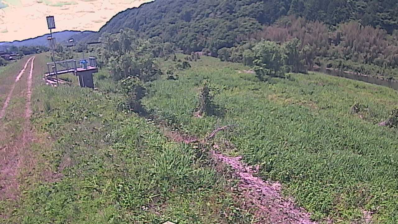 大江　日野川 13k790 右岸