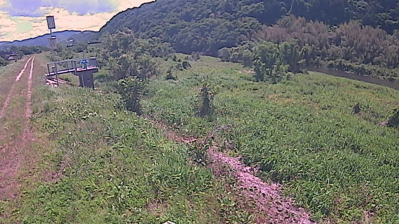 大江　日野川 13k790 右岸