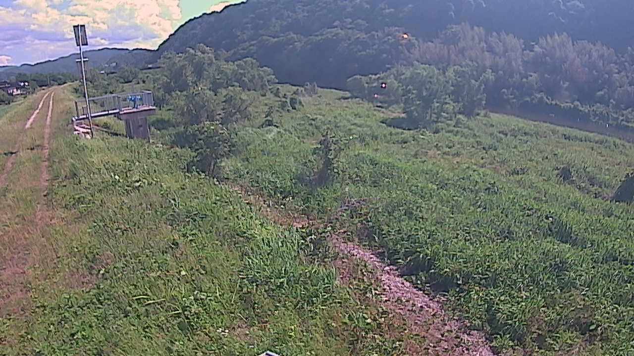 大江　日野川 13k790 右岸