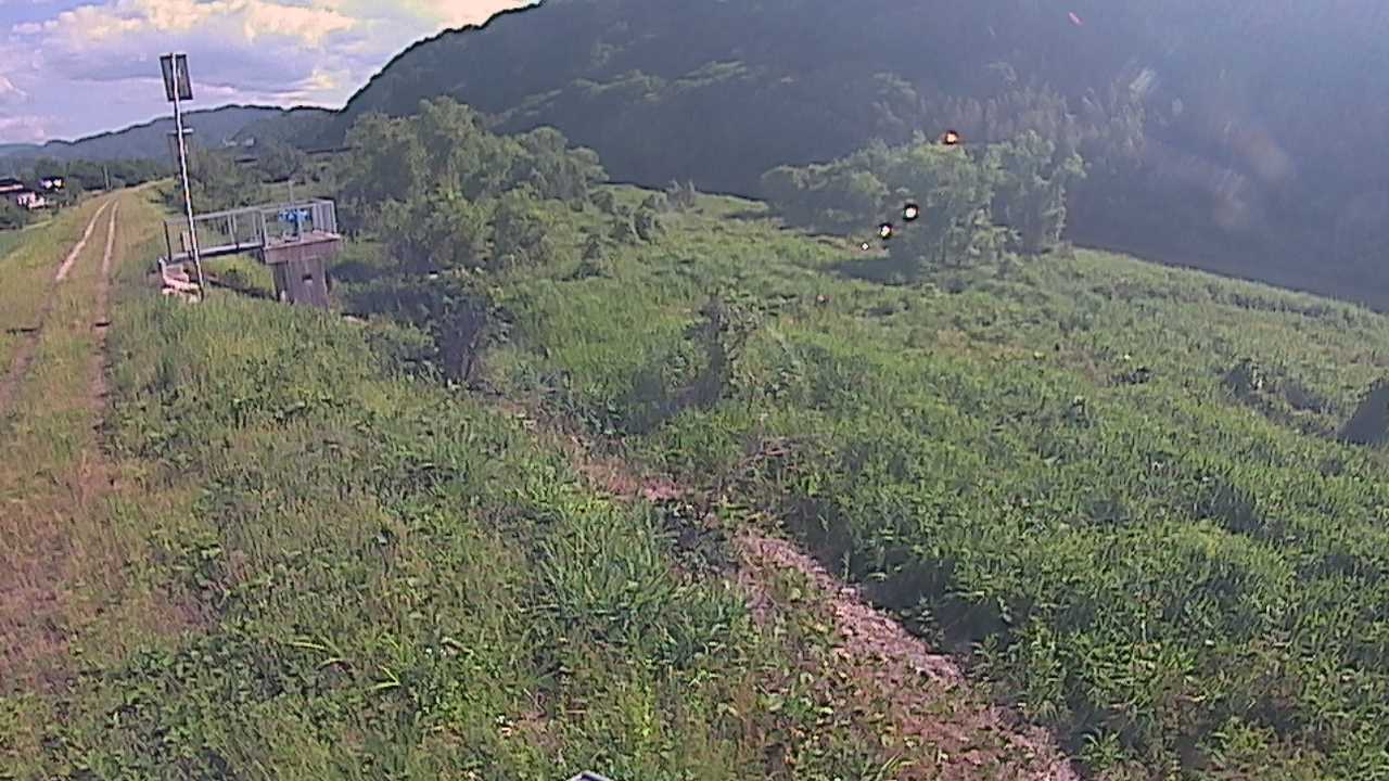 大江　日野川 13k790 右岸