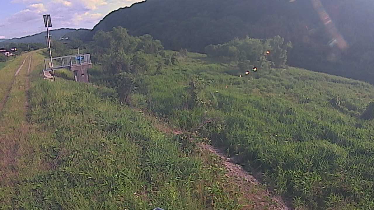大江　日野川 13k790 右岸