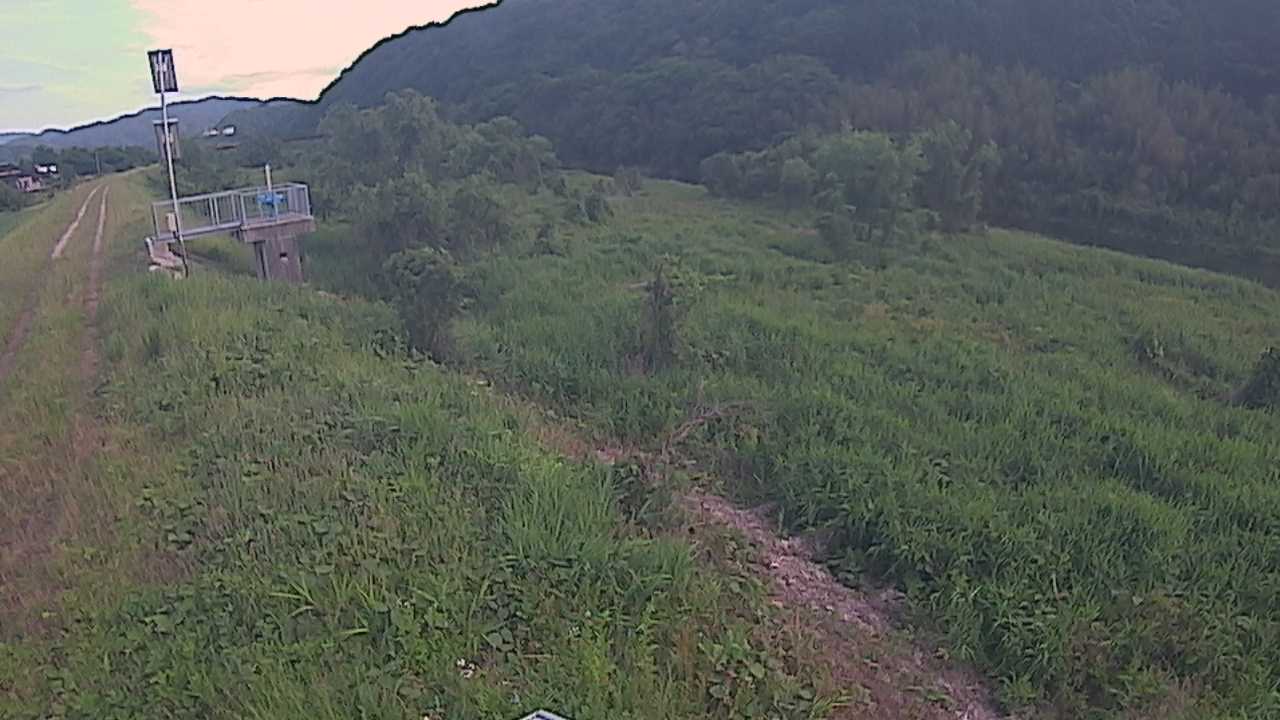 大江　日野川 13k790 右岸