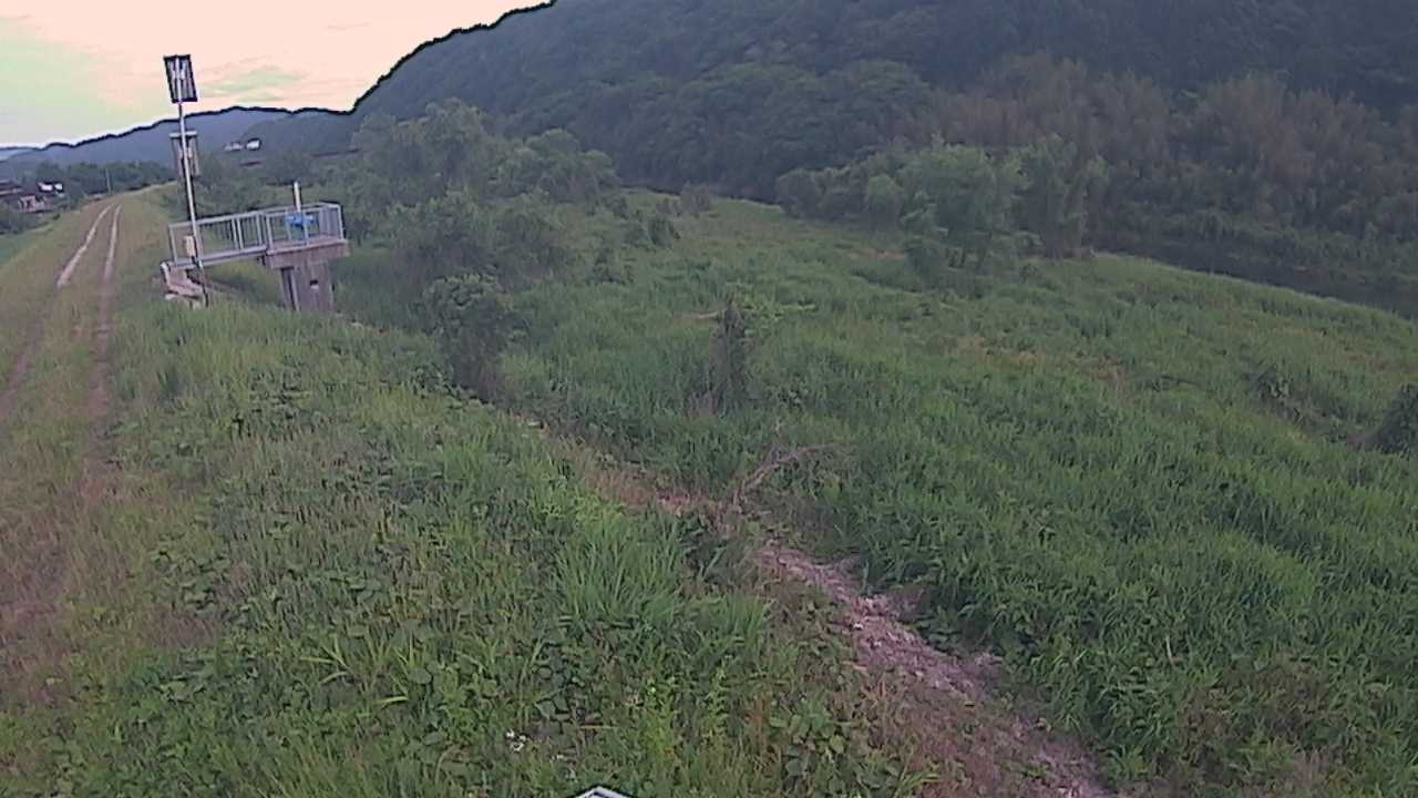 大江　日野川 13k790 右岸