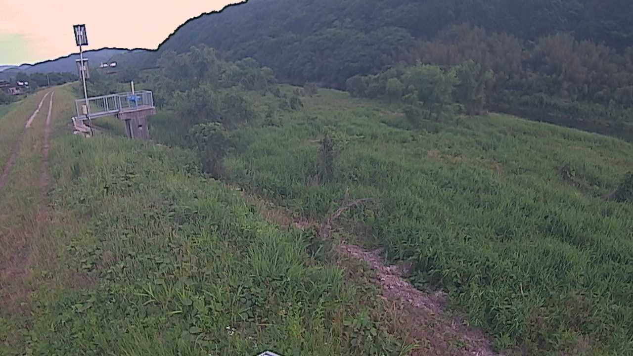 大江　日野川 13k790 右岸