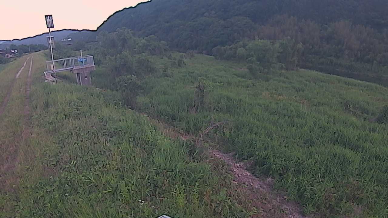 大江　日野川 13k790 右岸
