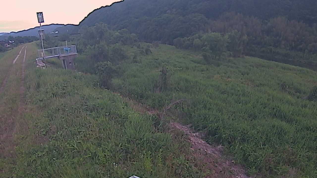 大江　日野川 13k790 右岸