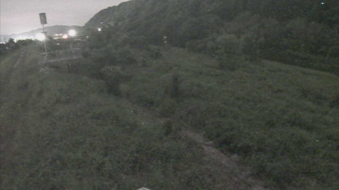 大江　日野川 13k790 右岸