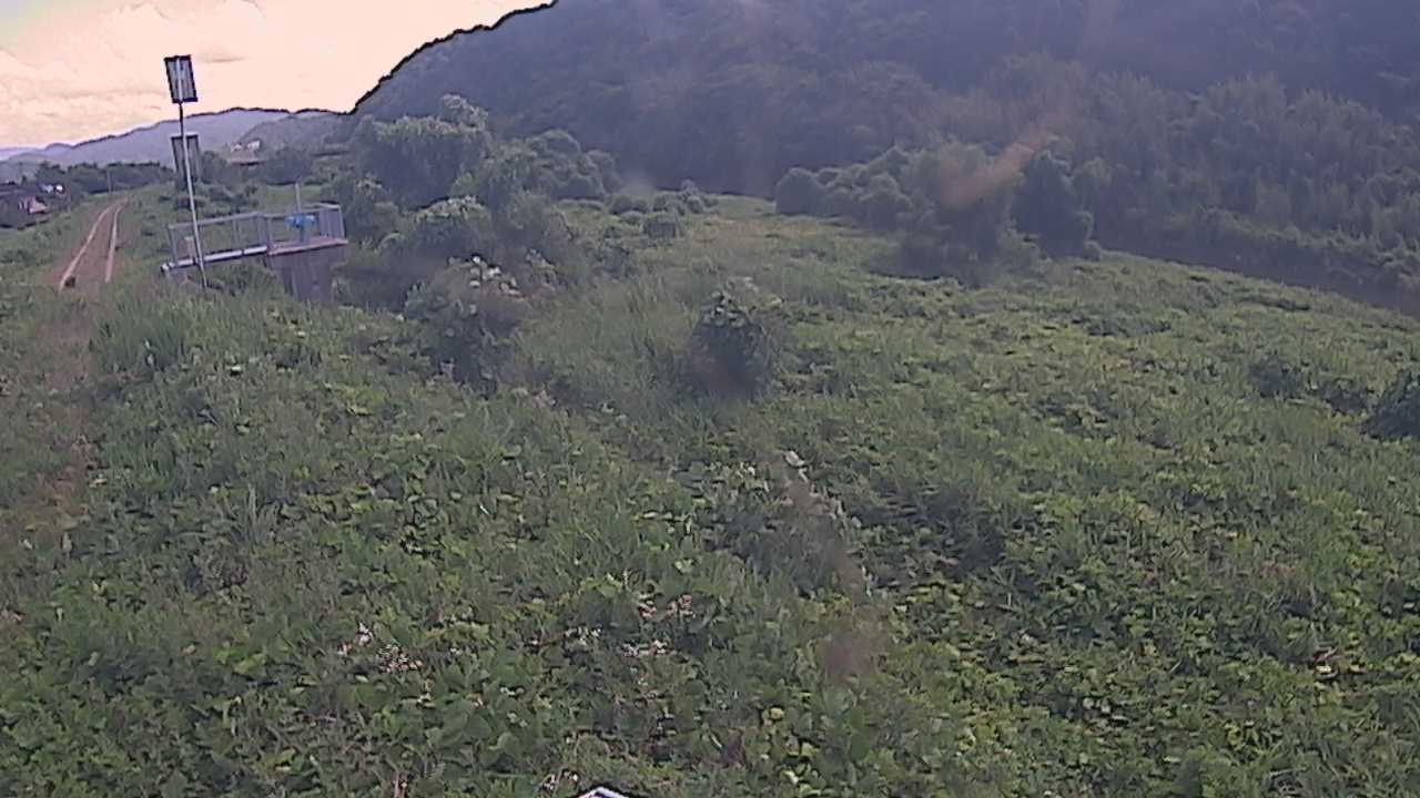大江　日野川 13k790 右岸