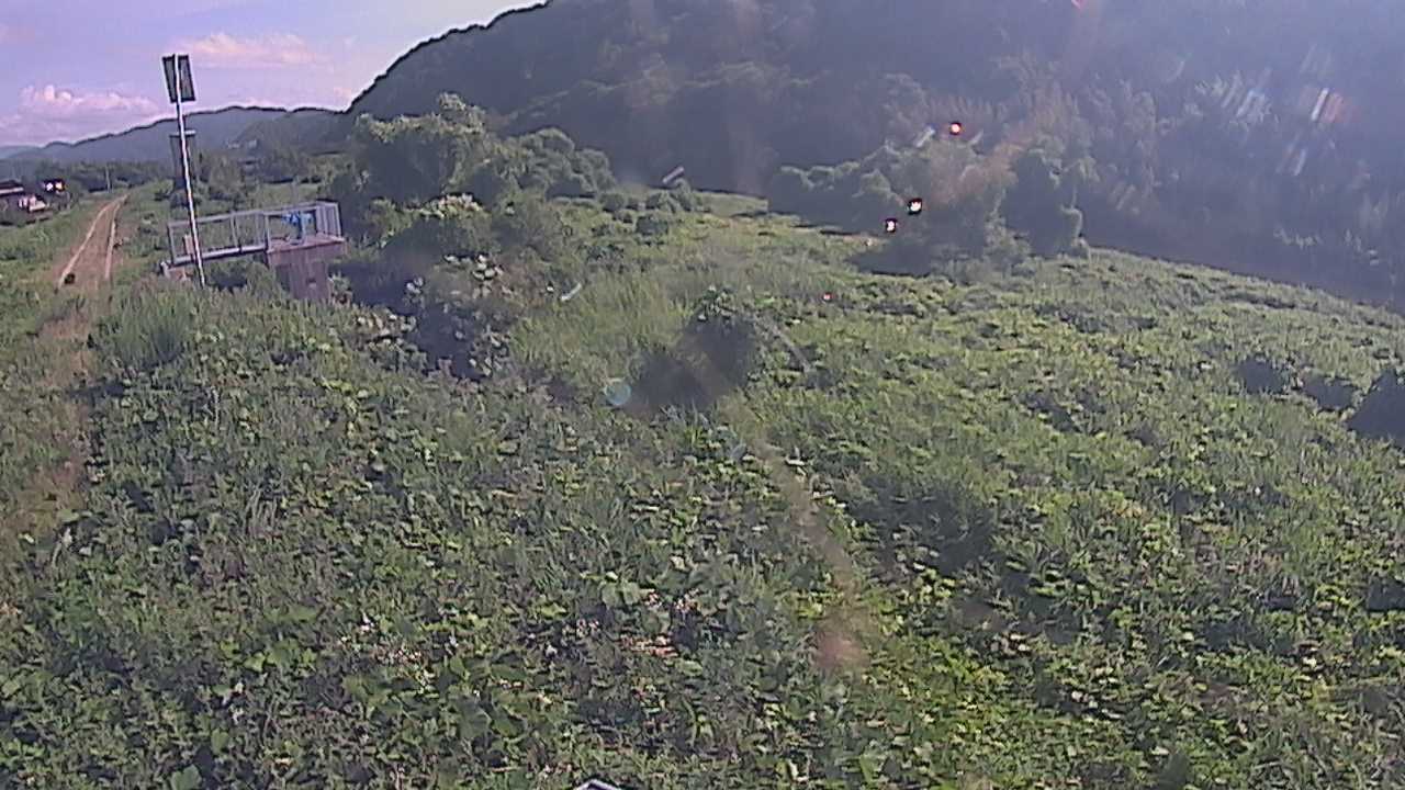 大江　日野川 13k790 右岸