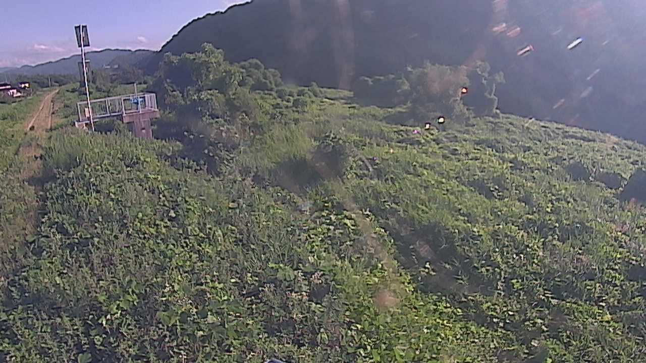 大江　日野川 13k790 右岸