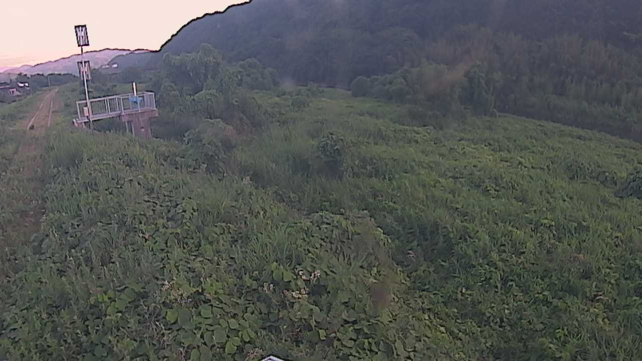 大江　日野川 13k790 右岸
