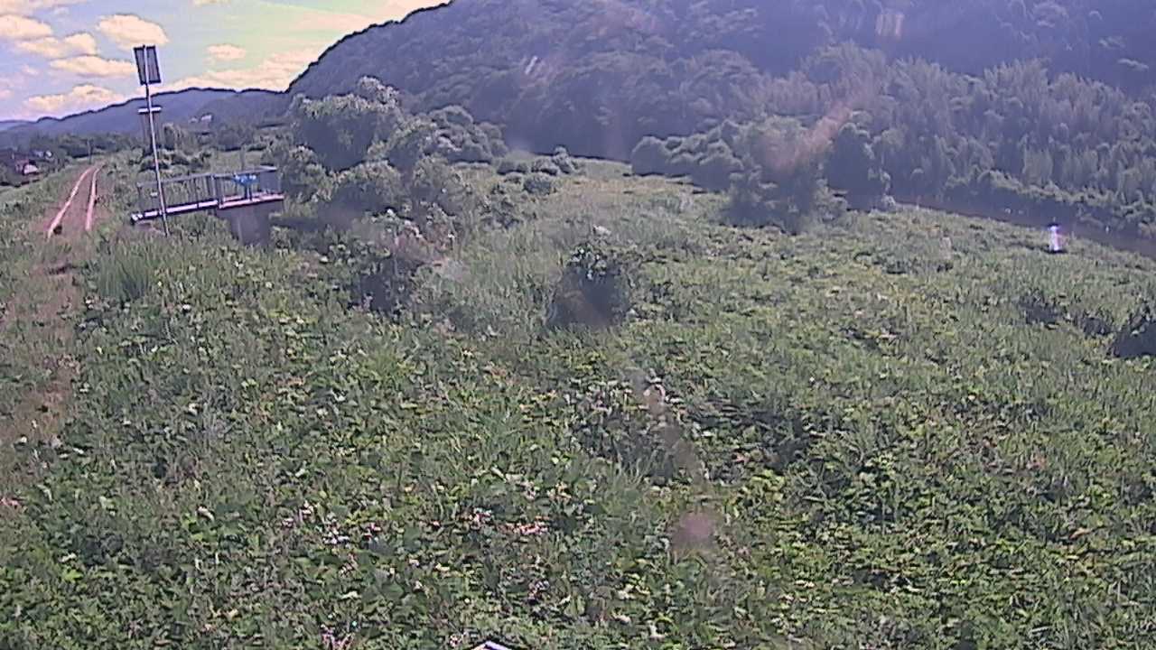 大江　日野川 13k790 右岸