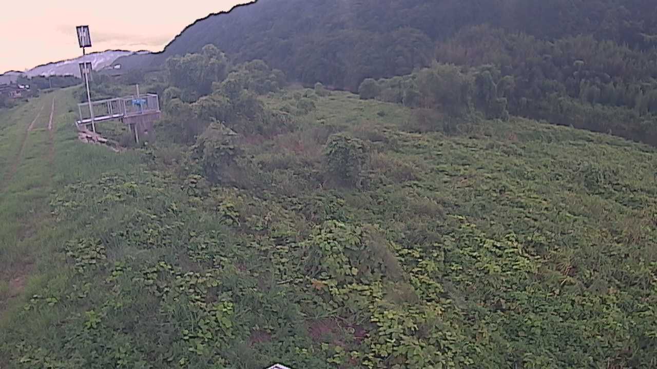 大江　日野川 13k790 右岸