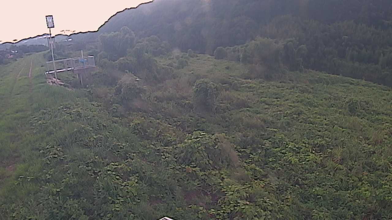 大江　日野川 13k790 右岸
