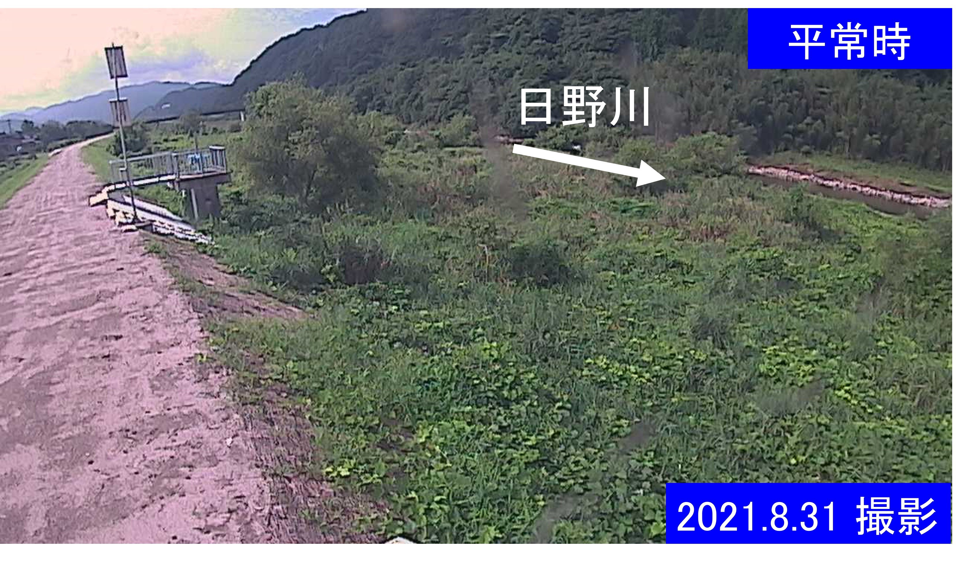 大江　日野川 13k790 右岸(通常の水位)