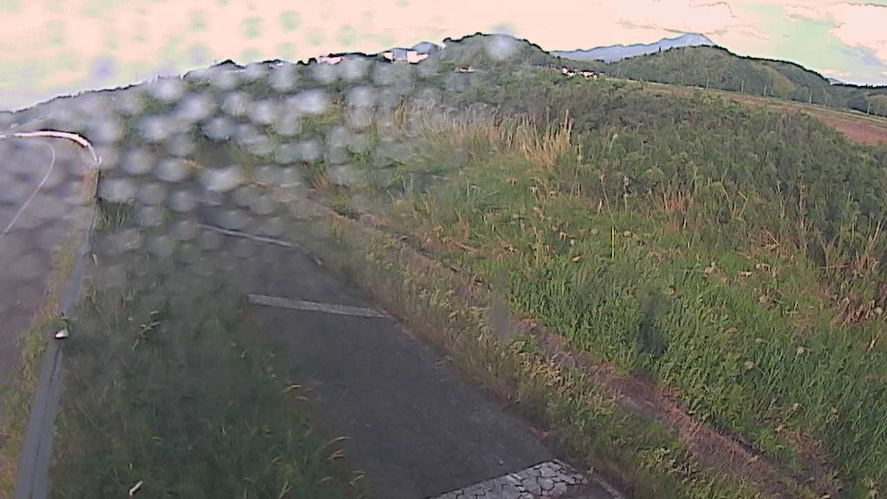 榎原　法勝寺川 3k000 左岸