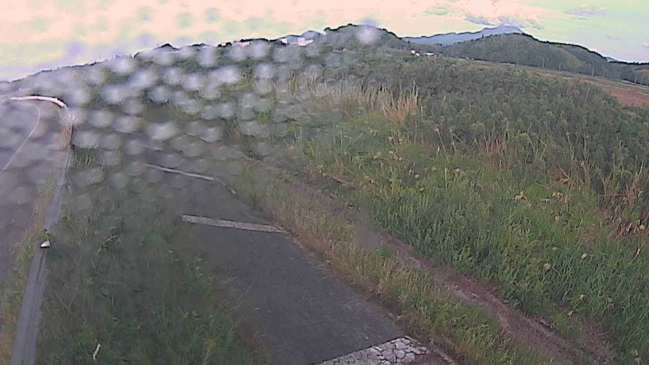 榎原　法勝寺川 3k000 左岸