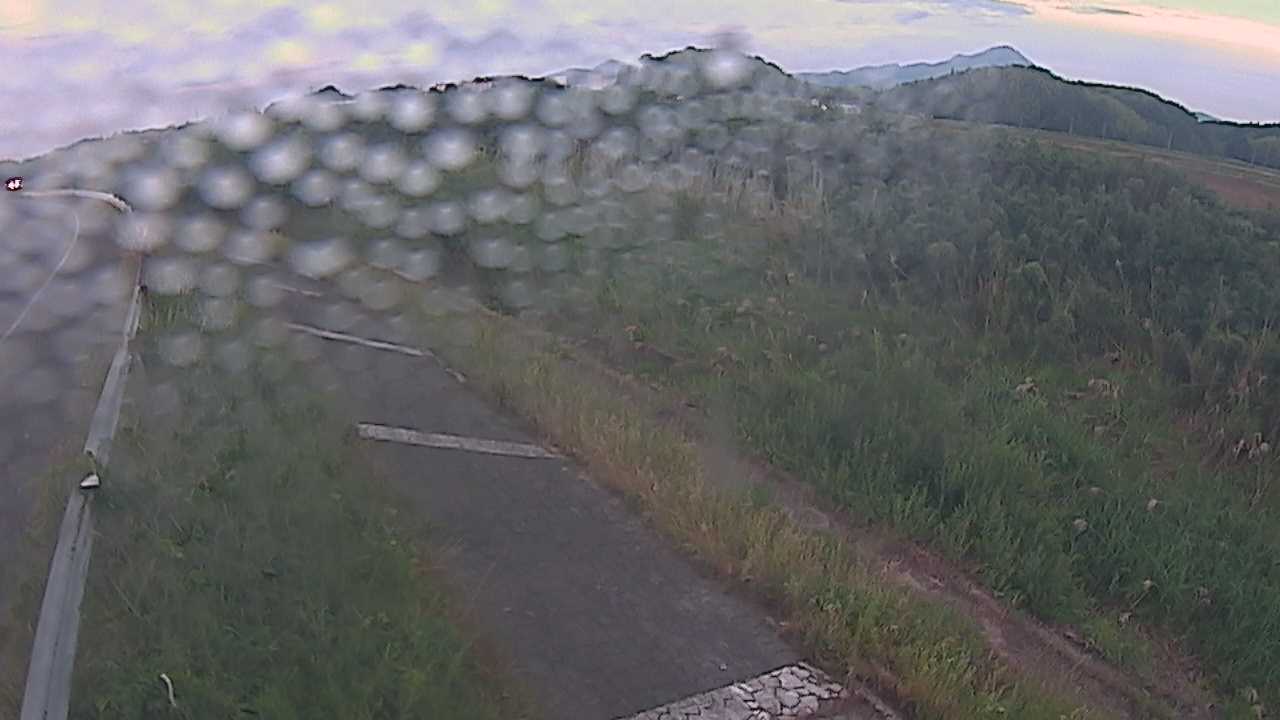 榎原　法勝寺川 3k000 左岸