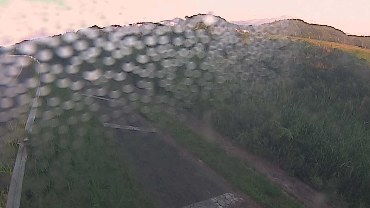 榎原　法勝寺川 3k000 左岸